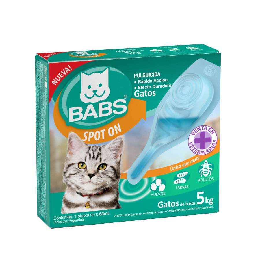 spoton_gatos babs spot on gatos