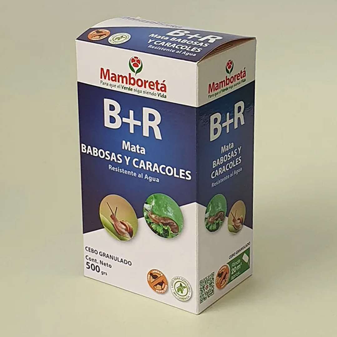 mamboreta_br