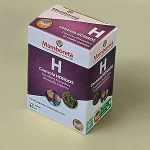 Mamboreta H